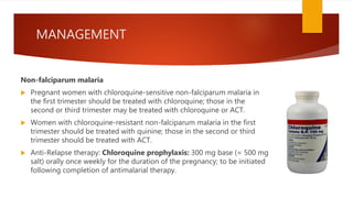 MANAGEMENT
Non-falciparum malaria
 Pregnant women with chloroquine-sensitive non-falciparum malaria in
the first trimester should be treated with chloroquine; those in the
second or third trimester may be treated with chloroquine or ACT.
 Women with chloroquine-resistant non-falciparum malaria in the first
trimester should be treated with quinine; those in the second or third
trimester should be treated with ACT.
 Anti-Relapse therapy: Chloroquine prophylaxis: 300 mg base (= 500 mg
salt) orally once weekly for the duration of the pregnancy; to be initiated
following completion of antimalarial therapy.
 