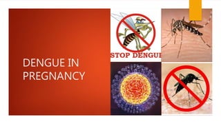 DENGUE IN
PREGNANCY
 