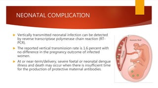 NEONATAL COMPLICATION
 Vertically transmitted neonatal infection can be detected
by reverse transcriptase polymerase chain reaction (RT-
PCR).
 The reported vertical transmission rate is 1.6 percent with
no difference in the pregnancy outcome of infected
women.
 At or near-term/delivery, severe foetal or neonatal dengue
illness and death may occur when there is insufficient time
for the production of protective maternal antibodies.
 
