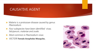 CAUSATIVE AGENT
 Malaria is a protozoan disease caused by genus
Plasmodium.
 Four subspecies have been identified vivax,
falciparum, malariae and ovale.
 Most common is Plasmodium vivax.
 VECTOR: Female Anopheles Mosquito.
 