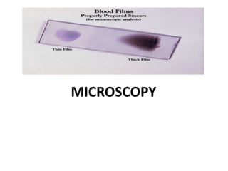 MICROSCOPY
 