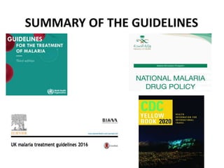 SUMMARY OF THE GUIDELINES
 