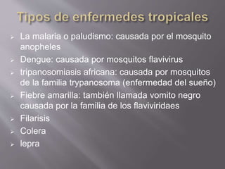  La malaria o paludismo: causada por el mosquito
anopheles
 Dengue: causada por mosquitos flavivirus
 tripanosomiasis africana: causada por mosquitos
de la familia trypanosoma (enfermedad del sueño)
 Fiebre amarilla: también llamada vomito negro
causada por la familia de los flaviviridaes
 Filarisis
 Colera
 lepra
 