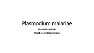 Plasmodium malariae
Mosab Nouraldein
Musab.noor13@gmail.com
 