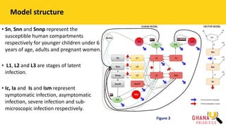 Model structure
• Sn, Snn and Snnp represent the
susceptible human compartments
respectively for younger children under 6
years of age, adults and pregnant women.
• L1, L2 and L3 are stages of latent
infection.
• Ic, Ia and Is and Ism represent
symptomatic infection, asymptomatic
infection, severe infection and sub-
microscopic infection respectively.
Figure 3
 