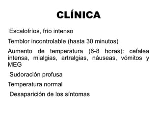 CLÍNICA Escalofríos, frío intenso Temblor incontrolable (hasta 30 minutos) Aumento de temperatura (6-8 horas): cefalea intensa, mialgias, artralgias, náuseas, vómitos y MEG Sudoración profusa Temperatura normal Desaparición de los síntomas 