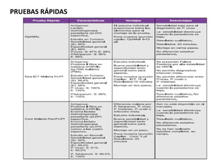 PRUEBAS RÁPIDAS 