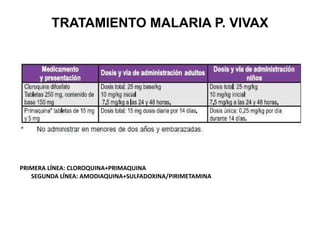 TRATAMIENTO MALARIA P. VIVAX PRIMERA LÍNEA: CLOROQUINA+PRIMAQUINA SEGUNDA LÍNEA: AMODIAQUINA+SULFADOXINA/PIRIMETAMINA 
