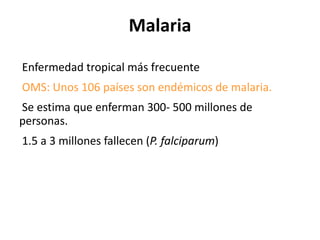 Malaria Enfermedad tropical más frecuente OMS: Unos 106 países son endémicos de malaria. Se estima que enferman 300- 500 millones de personas. 1.5 a 3 millones fallecen ( P. falciparum ) 