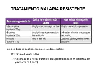 TRATAMIENTO MALARIA RESISTENTE Si no se dispone de clindamicina se pueden emplear: Doxiciclina durante 5 días Tetraciclina cada 6 horas, durante 5 días (contraindicada en embarazadas y menores de 8 años) 