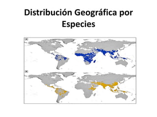 Distribución Geográfica por Especies 
