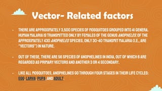 Vector- Related factors
• Thereareapproximately3,500speciesofmosquitoesgroupedinto41genera.
Humanmalariais transmittedonly byfemalesofthegenusAnopheles.Ofthe
approximately430Anopheles species,only 30-40transmitmalaria(i.e.,are
“vectors”)innature.
• Out ofthese,thereare56speciesofanophelines inindia,out ofwhich6are
regardedasprimaryvectorsand another3or4secondary.
• Like all mosquitoes,anophelines gothroughfourstages intheirlife cycles:
egg,larva,pupa,and adult.
 