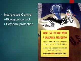 • Intergrated Control
Biological control
Personal protection
 