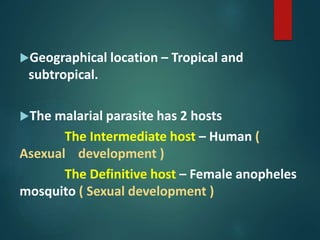Geographical location – Tropical and
subtropical.
The malarial parasite has 2 hosts
The Intermediate host – Human (
Asexual development )
The Definitive host – Female anopheles
mosquito ( Sexual development )
 