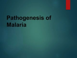 Pathogenesis of
Malaria
 