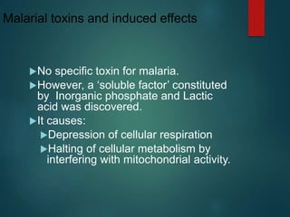 Malarial toxins and induced effects
No specific toxin for malaria.
However, a ‘soluble factor’ constituted
by Inorganic phosphate and Lactic
acid was discovered.
It causes:
Depression of cellular respiration
Halting of cellular metabolism by
interfering with mitochondrial activity.
 