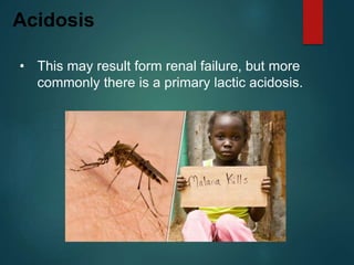Acidosis
• This may result form renal failure, but more
commonly there is a primary lactic acidosis.
 
