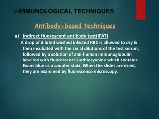 IMMUNOLOGICAL TECHNIQUES
Antibody-based techniques
a) Indirect fluorescent antibody test(IFAT)
A drop of diluted washed infected RBC is allowed to dry &
then incubated with the serial dilutions of the test serum,
followed by a solution of anti-human immunoglobulin
labelled with fluorescence isothiocyanine which contains
Evans blue as a counter stain. When the slides are dried,
they are examined by fluorescence microscopy.
 