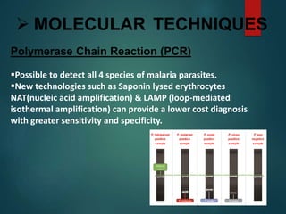  MOLECULAR TECHNIQUES
Polymerase Chain Reaction (PCR)
Possible to detect all 4 species of malaria parasites.
New technologies such as Saponin lysed erythrocytes
NAT(nucleic acid amplification) & LAMP (loop-mediated
isothermal amplification) can provide a lower cost diagnosis
with greater sensitivity and specificity.
 