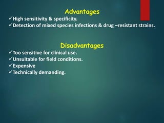 Advantages
High sensitivity & specificity.
Detection of mixed species infections & drug –resistant strains.
Disadvantages
Too sensitive for clinical use.
Unsuitable for field conditions.
Expensive
Technically demanding.
 