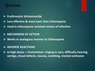 Quinine
 Erythrocytic Schizontocide
 Less effective & more toxic than Chloroquine
 Used in chloroquine resistant strains of infection
 MECHANISM OF ACTION
 Works in analogous manner to Chloroquine
 ADVERSE REACTIONS
 In high doses – Cinchoinism: ringing in ears, difficulty hearing,
vertigo, visual defects, nausea, vomiting, mental confusion
 