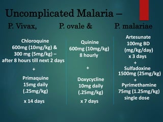 Uncomplicated Malaria –
P. Vivax, P. ovale & P. malariae
Sulfadoxine
1500mg (25mg/kg)
75mg (1.25mg/kg)
single dose
Pyrimethamine
Chloroquine
600mg (10mg/kg) &
300 mg (5mg/kg) –
after 8 hours till next 2 days
Quinine
600mg (10mg/kg)
8 hourly
Primaquine
15mg daily
(.25mg/kg)
Artesunate
100mg BD
(mg/kg/day)
Doxycycline
10mg daily
(.25mg/kg)
+ +
+
+
x 14 days x 7 days
x 3 days
 