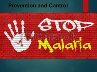 Prevention and Control
 