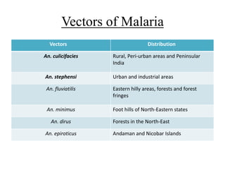 Vectors of Malaria
Vectors Distribution
An. culicifacies Rural, Peri-urban areas and Peninsular
India
An. stephensi Urban and industrial areas
An. fluviatilis Eastern hilly areas, forests and forest
fringes
An. minimus Foot hills of North-Eastern states
An. dirus Forests in the North-East
An. epiroticus Andaman and Nicobar Islands
 
