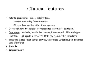Clinical features
 Febrile paroxysm: Fever is intermittent.
1.Every fourth day for P. malariae
2.Every third day for other three species.
• Corresponds to the release of merozoites into the bloodstream.
• Cold stage: Lassitude, headache, nausea, intense cold, chills and rigor.
• Hot stage: High grade fever of 39–41°C, dry burning skin, headache
• Sweating stage: Fever comes down with profuse sweating. Skin becomes
cold and moist.
 Anemia
 Splenomegaly
 
