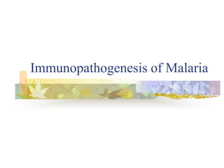 Immunopathogenesis of Malaria
 