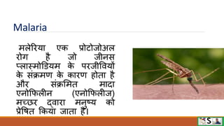 Malaria
मलेरिया एक प्रोटोजोअल
िोग है जो जीनस
प्लास्मोडियम क
े पिजीवियों
क
े संक्रमण क
े कािण होता है
औि संक्रममत मादा
एनोफिलीन (एनोफिलीज)
मच्छि द्िािा मनुष्य को
प्रेवित फकया जाता है।
 