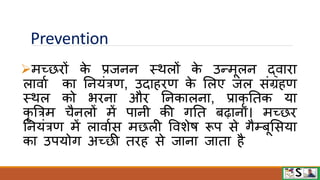 Prevention
मच्छिों क
े प्रजनन स्िलों क
े उन्मूलन द्िािा
लािाव का ननयंत्रण, उदाहिण क
े मलए जल संग्रहण
स्िल को भिना औि ननकालना, प्राकृ नतक या
कृ बत्रम चैनलों में पानी की गनत बढ़ाना। मच्छि
ननयंत्रण में लािावस मछली विशेि रूप से गैम्बूमसया
का उपयोग अच्छी तिह से जाना जाता है
 