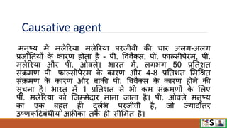 Causative agent
मनुष्य में मलेरिया मलेरिया पिजीिी की चाि अलग-अलग
प्रजानतयों क
े कािण होता है - पी. वििैक्स, पी. िाल्सीपेिम, पी.
मलेरिया औि पी. ओिले। भाित में, लगभग 50 प्रनतशत
संक्रमण पी. िाल्सीपेिम क
े कािण औि 4-8 प्रनतशत ममधित
संक्रमण क
े कािण औि बाकी पी. वििैक्स क
े कािण होने की
सूचना है। भाित में 1 प्रनतशत से भी कम संक्रमणों क
े मलए
पी. मलेरिया को जजम्मेदाि माना जाता है। पी. ओिले मनुष्य
का एक बहुत ही दुलवभ पिजीिी है, जो ज्यादाति
उष्णकटटबंधीय अफ्रीका तक ही सीममत है।
 