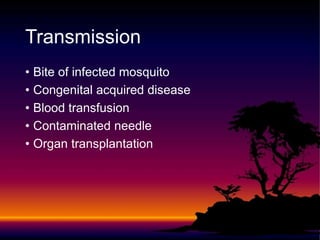 • Bite of infected mosquito
• Congenital acquired disease
• Blood transfusion
• Contaminated needle
• Organ transplantation
Transmission
 