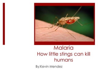 Malaria
How little stings can kill
        humans
By:Kevin Mendez
 