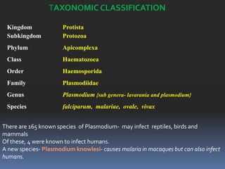 TAXONOMIC CLASSIFICATION

 Kingdom              Protista
 Subkingdom           Protozoa
 Phylum               Apicomplexa
 Class                Haematozoea
 Order                Haemosporida
 Family               Plasmodiidae
 Genus                Plasmodium {sub genera- lavarania and plasmodium}
 Species              falciparum, malariae, ovale, vivax


There are 165 known species of Plasmodium- may infect reptiles, birds and
mammals
Of these, 4 were known to infect humans.
A new species- Plasmodium knowlesi- causes malaria in macaques but can also infect
humans.
 