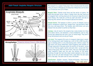 Malaria _Moscutoes_ booklet | PPT