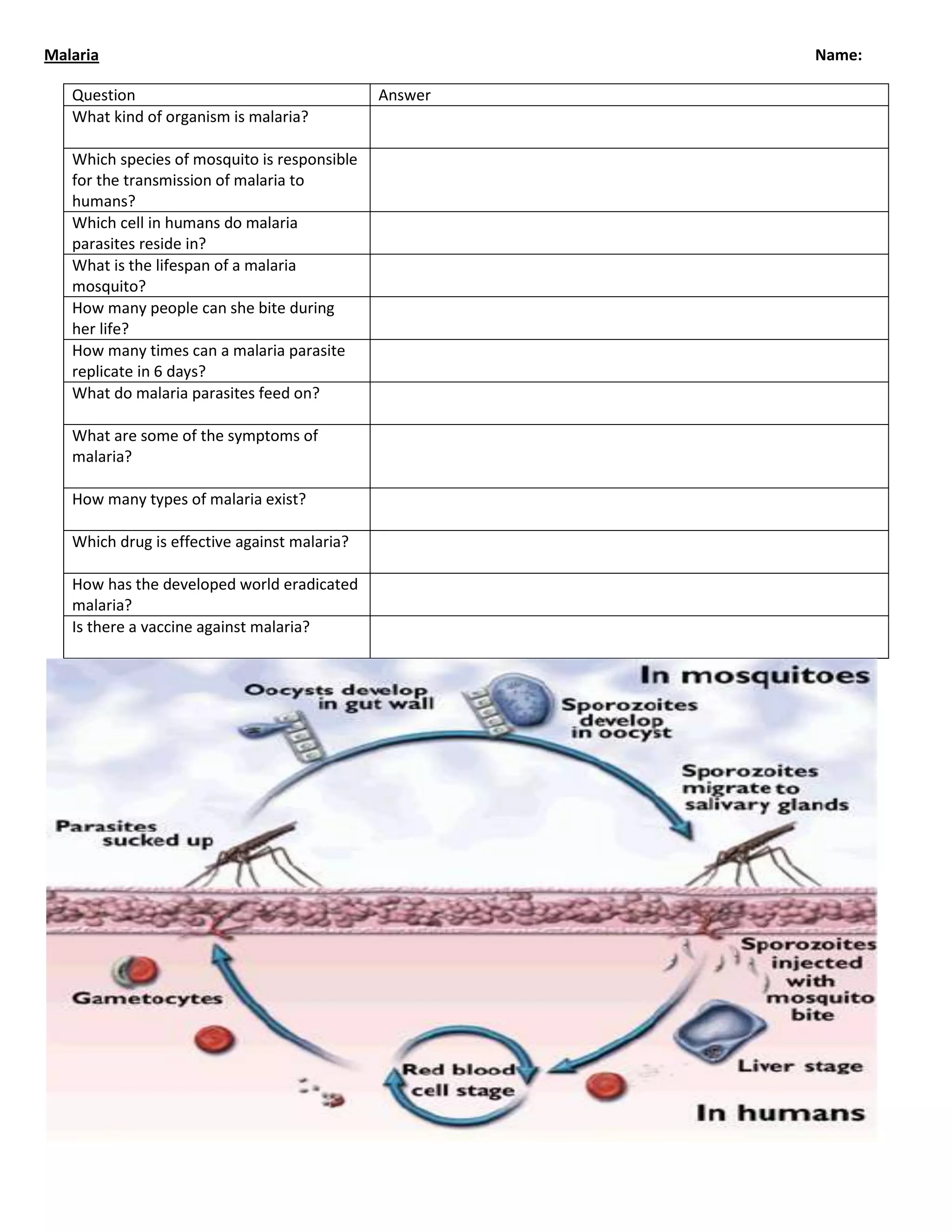 MalariaName:<br />QuestionAnswerWhat kind of organism is malaria?Which species of mosquito is responsible for the transmission of malaria to humans?Which cell in humans do malaria parasites reside in?What is the lifespan of a malaria mosquito?How many people can she bite during her life?How many times can a malaria parasite replicate in 6 days?What do malaria parasites feed on?What are some of the symptoms of malaria?How many types of malaria exist?Which drug is effective against malaria?How has the developed world eradicated malaria?Is there a vaccine against malaria?<br />Bovine Spongiform Encephalitis<br />