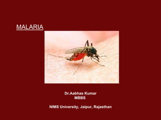 MALARIA
Dr.Aabhas Kumar
MBBS
NIMS University, Jaipur, Rajasthan
 