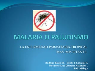 MALARIA O PALUDISMO LA ENFERMEDAD PARASITARIA TROPICAL  MAS IMPORTANTE. Rodrigo Basto M. – Leidy  J. Carvajal P. Docentes Área Ciencias Naturales . ENS. Málaga 