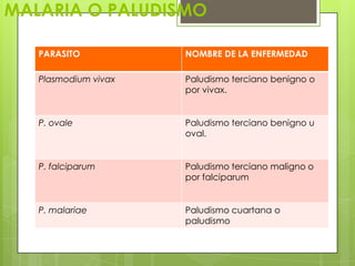 MALARIA O PALUDISMO

   PARASITO           NOMBRE DE LA ENFERMEDAD

   Plasmodium vivax   Paludismo terciano benigno o
                      por vivax.


   P. ovale           Paludismo terciano benigno u
                      oval.


   P. falciparum      Paludismo terciano maligno o
                      por falciparum


   P. malariae        Paludismo cuartana o
                      paludismo
 