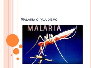 MALARIA O PALUDISMO
 