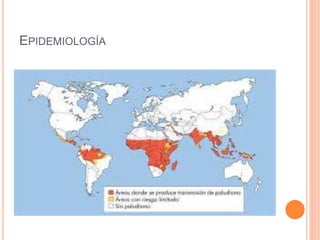 EPIDEMIOLOGÍA
 