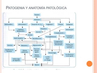 PATOGENIA Y ANATOMÍA PATOLÓGICA
 