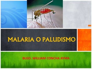 MALARIA O PALUDISMO
BLGO. WILLIAM CONCHA AYMA
 