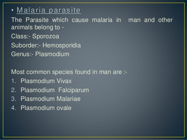 Malaria Parasite