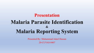 Presentation
Presented By: Muhammad Adeel Hassan
20-CUVAS-0407
Malaria Parasite Identification
&
Malaria Reporting System
 