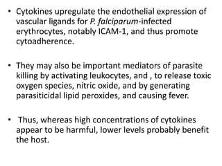 • Cytokines upregulate the endothelial expression of
vascular ligands for P. falciparum-infected
erythrocytes, notably ICAM-1, and thus promote
cytoadherence.
• They may also be important mediators of parasite
killing by activating leukocytes, and , to release toxic
oxygen species, nitric oxide, and by generating
parasiticidal lipid peroxides, and causing fever.
• Thus, whereas high concentrations of cytokines
appear to be harmful, lower levels probably benefit
the host.
 