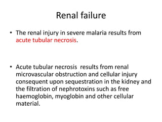Renal failure
• The renal injury in severe malaria results from
acute tubular necrosis.
• Acute tubular necrosis results from renal
microvascular obstruction and cellular injury
consequent upon sequestration in the kidney and
the filtration of nephrotoxins such as free
haemoglobin, myoglobin and other cellular
material.
 