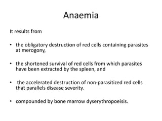 Anaemia
It results from
• the obligatory destruction of red cells containing parasites
at merogony,
• the shortened survival of red cells from which parasites
have been extracted by the spleen, and
• the accelerated destruction of non-parasitized red cells
that parallels disease severity.
• compounded by bone marrow dyserythropoeisis.
 